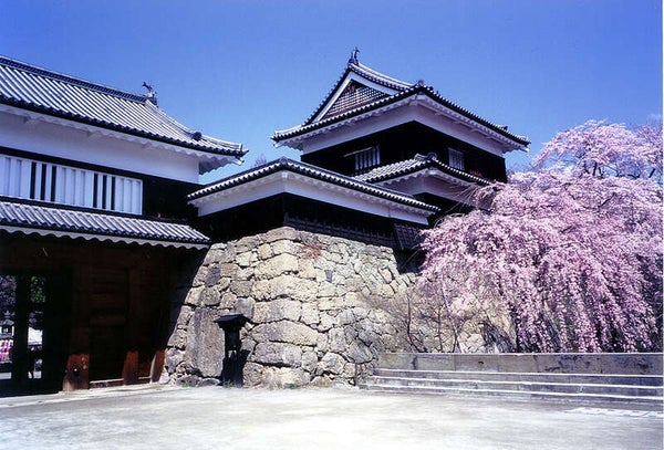 【新大阪駅・京都駅・米原駅発】 《日本100名城めぐり》関東編 その3 ~山梨・長野県編~ (3日間)1